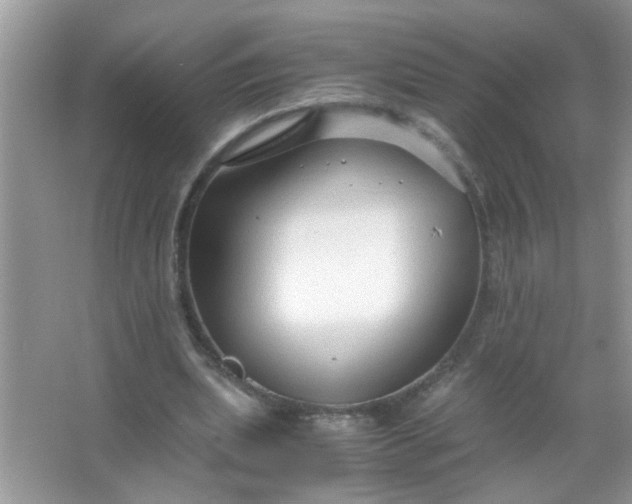 X0000067000439200604072153