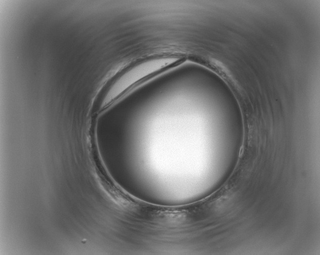 X0000067000443200604072153