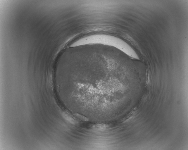 X0000067000444200604072153