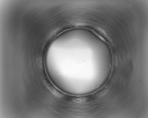 X0000067000447200604072153