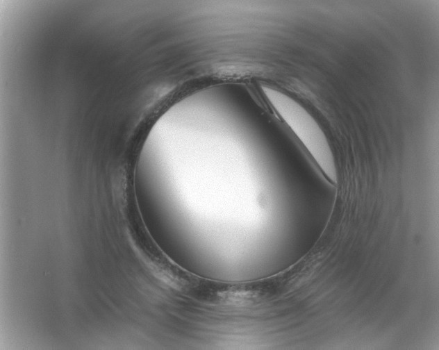 X0000067000448200604072153