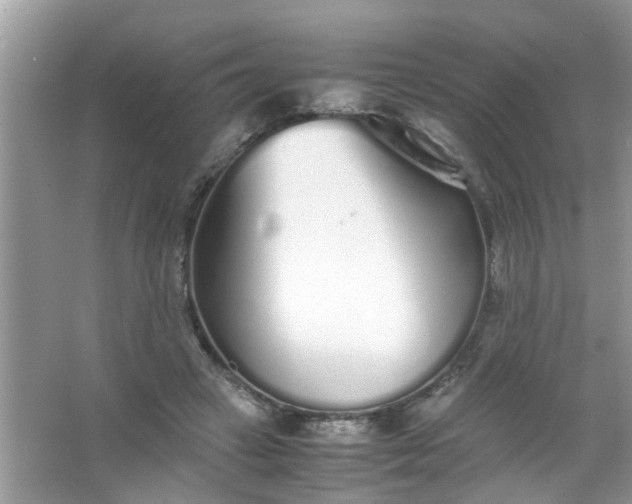 X0000067000449200604072153