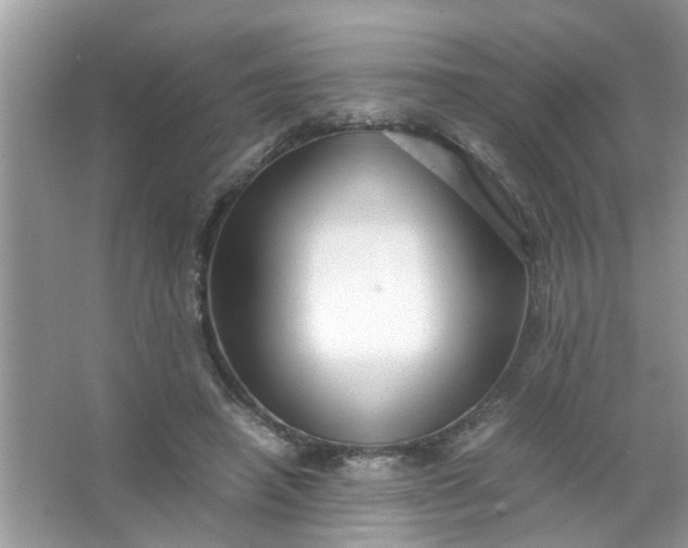 X0000067000450200604072153