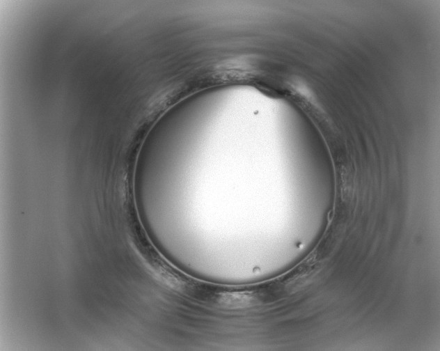 X0000067000451200604072153