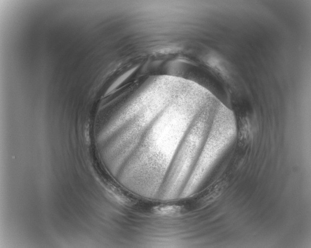 X0000067000452200604072153