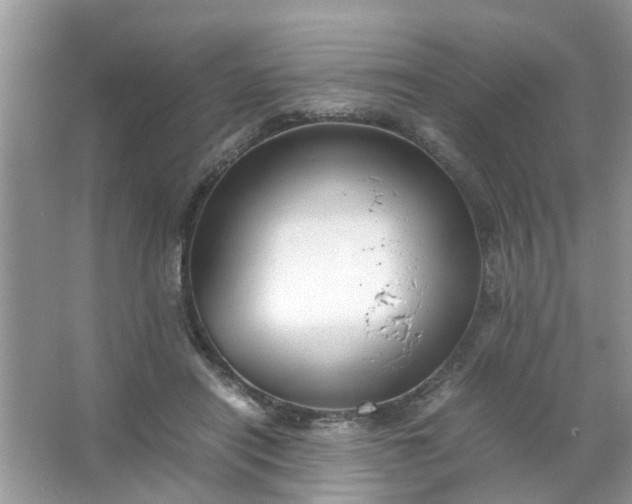 X0000067000454200604072153