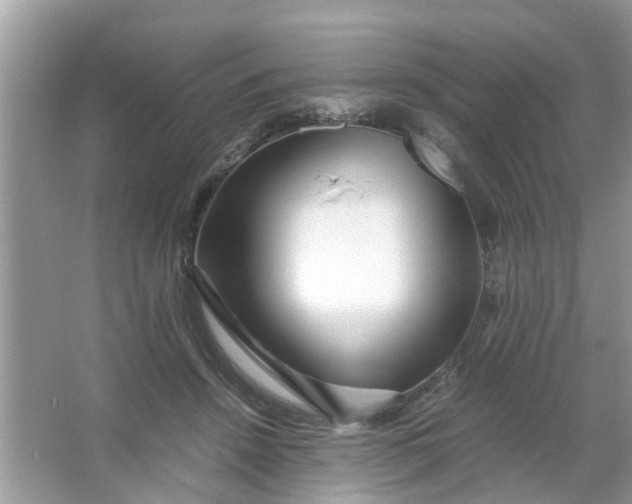 X0000067000456200604072153