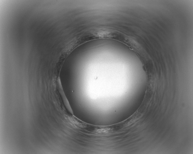 X0000067000461200604072153