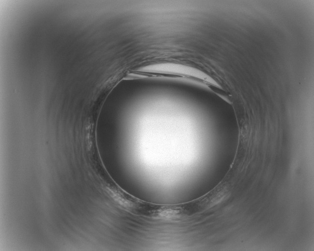 X0000067000462200604072153