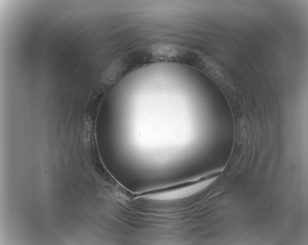 X0000067000463200604072153