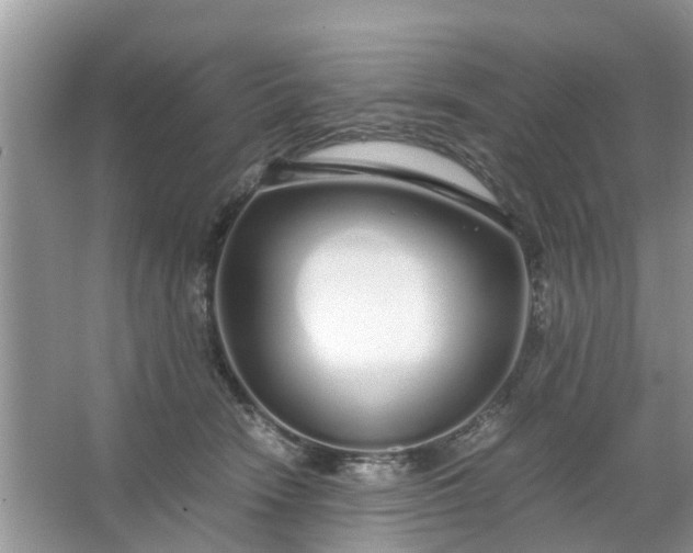 X0000067000466200604072153