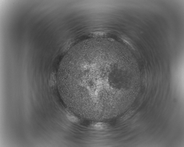 X0000067000467200604072153