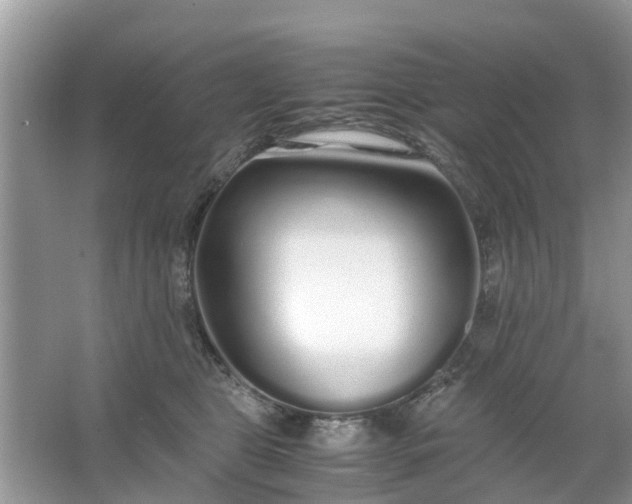 X0000067000469200604072153