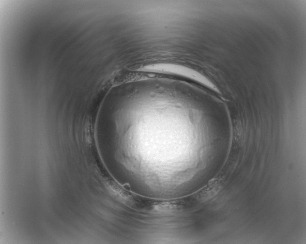 X0000067000470200604072153