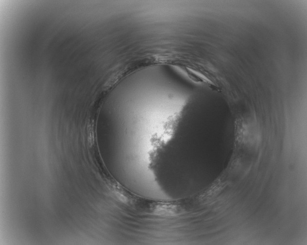 X0000067000471200604072153