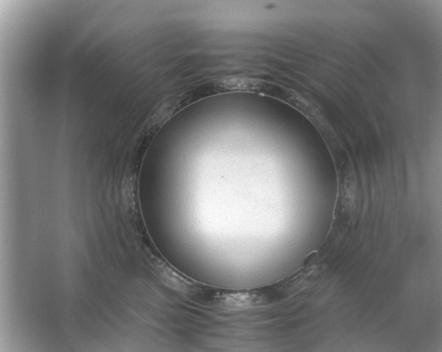 X0000067000473200604072153