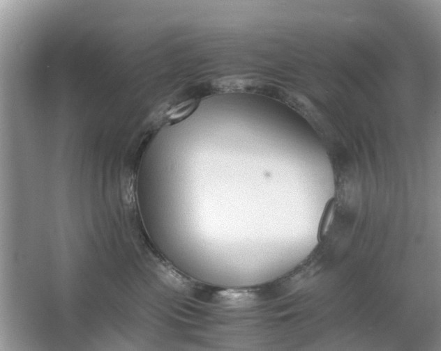 X0000067000477200604072154