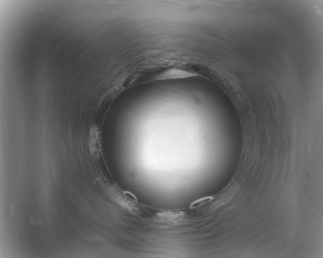 X0000067000480200604072154