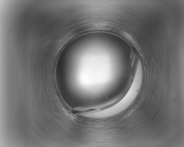 X0000067000481200604072153