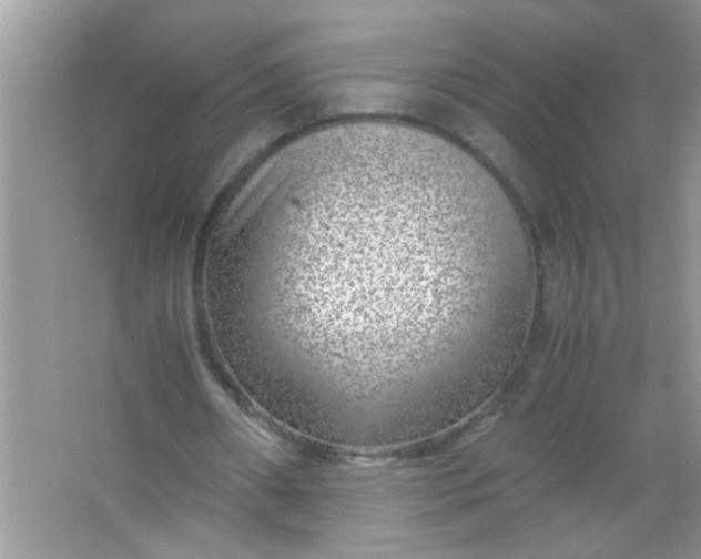 X0000067000482200604072153