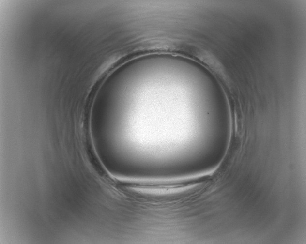 X0000067000483200604072153