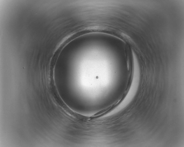 X0000067000484200604072153