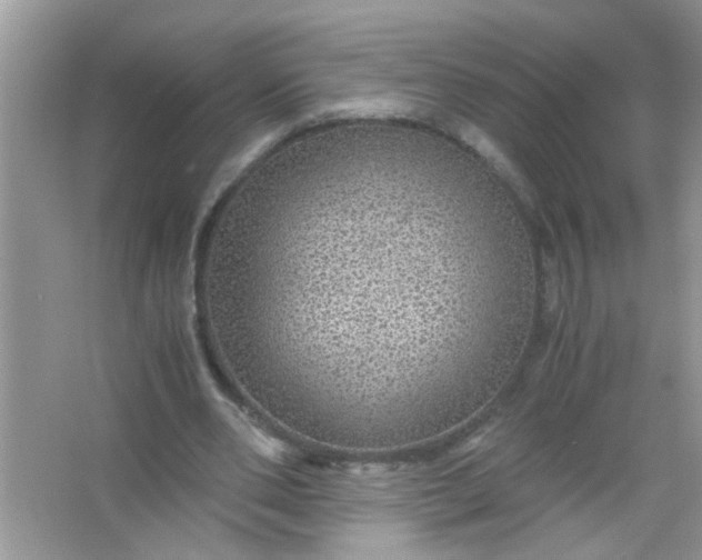 X0000067000486200604072153