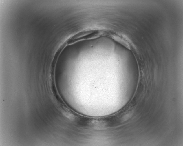 X0000067000487200604072153