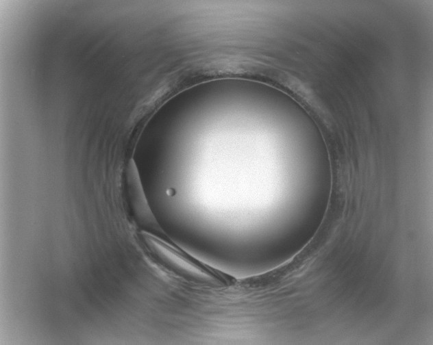 X0000067000489200604072153