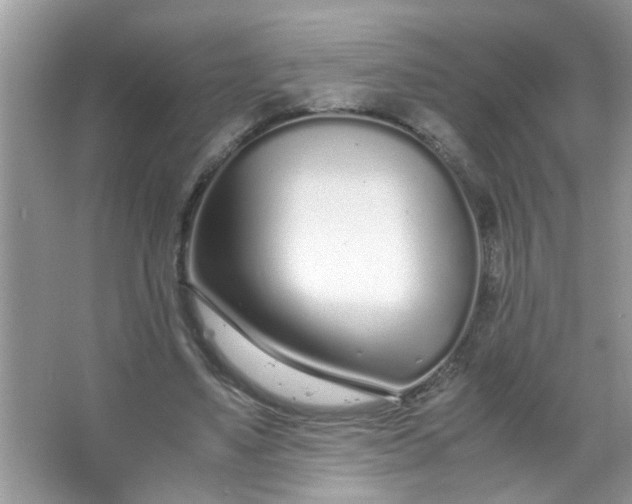 X0000067000491200604072153