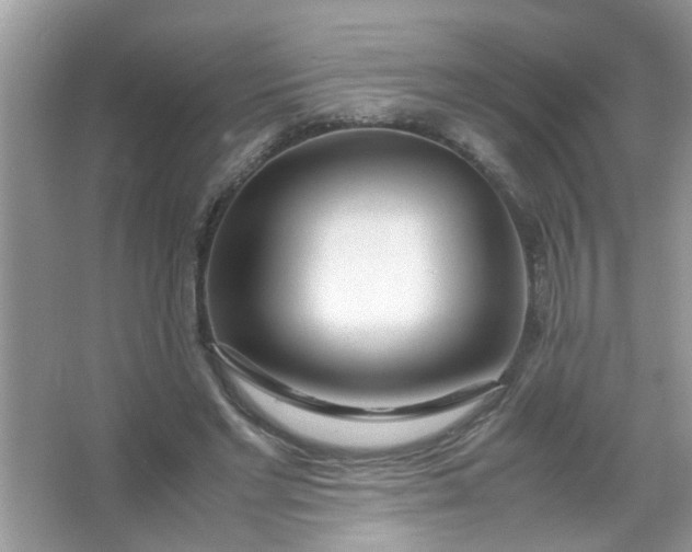 X0000067000493200604072153