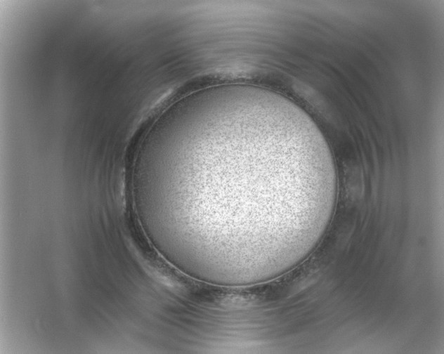 X0000067000494200604072153