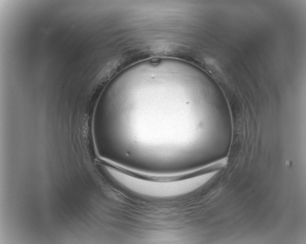 X0000067000495200604072153