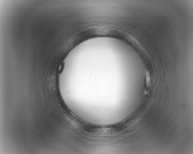 X0000067000497200604072153