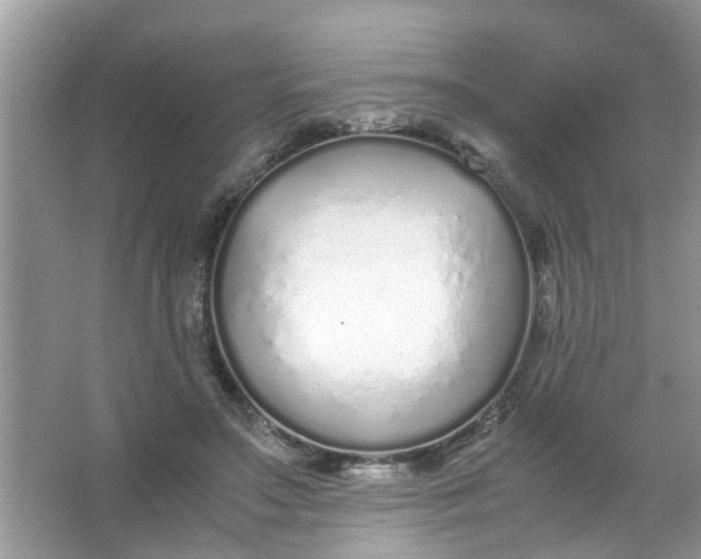 X0000067000499200604072153