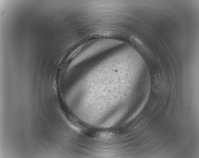 X0000067000500200604072152