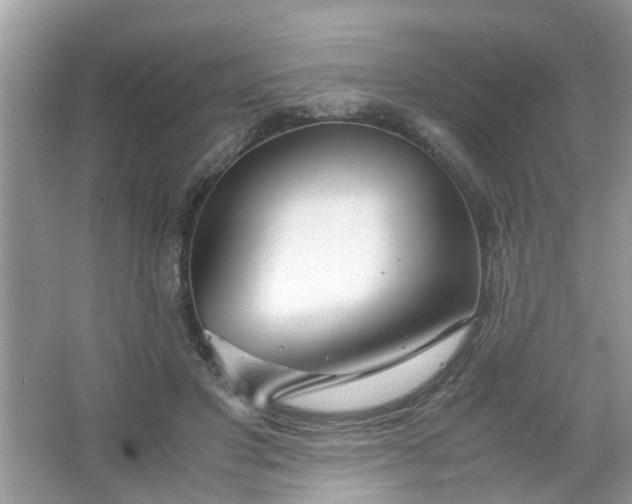 X0000067000501200604072152