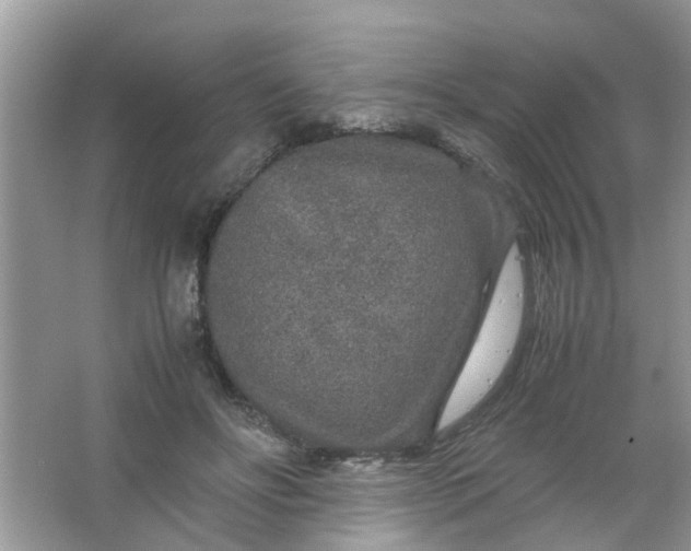 X0000067000502200604072152