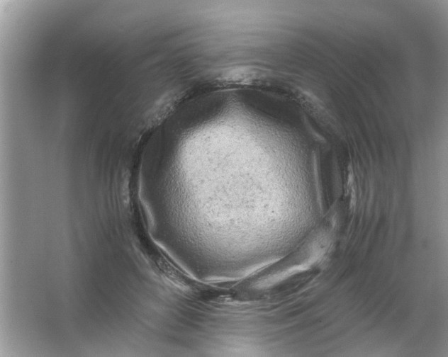 X0000067000504200604072152