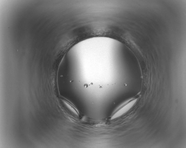 X0000067000505200604072152