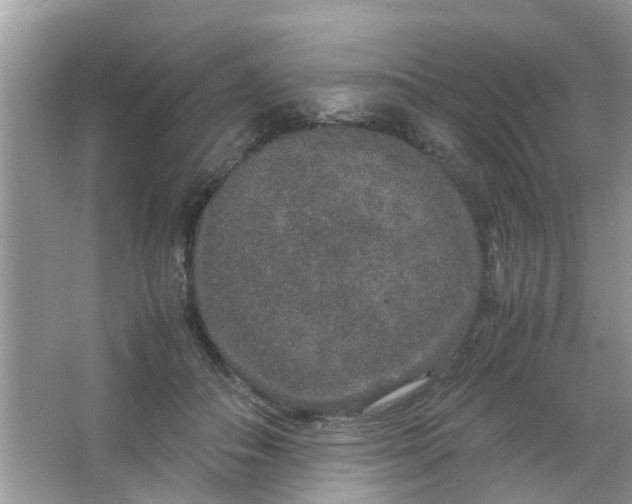 X0000067000506200604072152