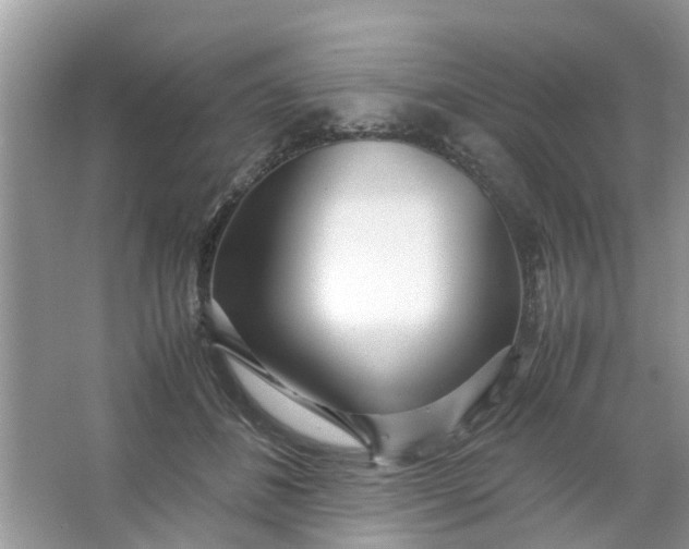 X0000067000508200604072152