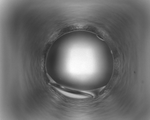 X0000067000509200604072152