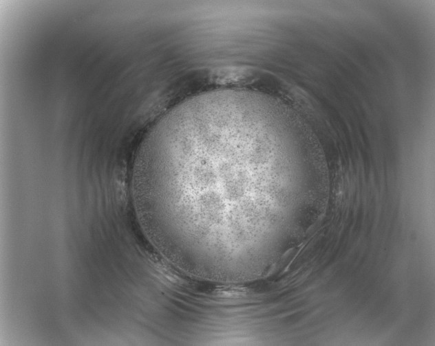 X0000067000510200604072152