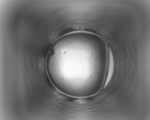 X0000067000511200604072152