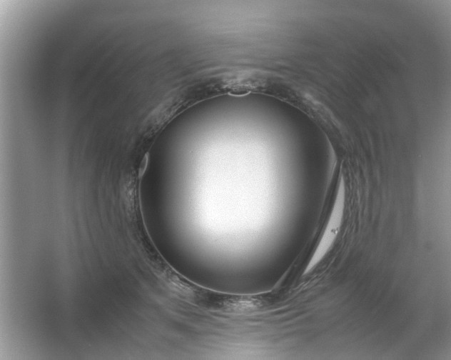 X0000067000513200604072152