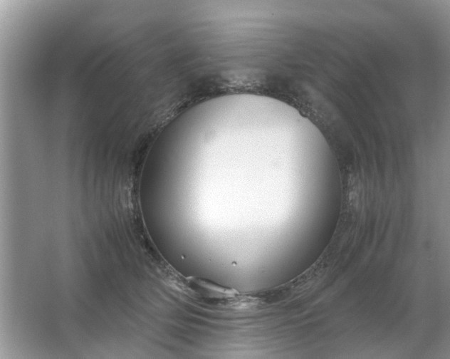 X0000067000514200604072152