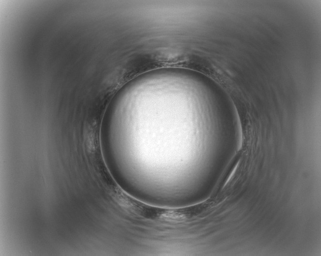 X0000067000515200604072152