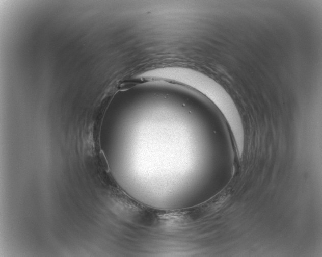 X0000067000516200604072152