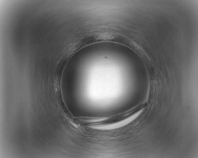 X0000067000517200604072152